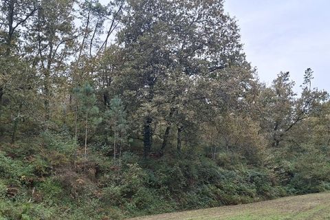 Helårsgrund i Amares, Braga, Amares - € 64.000 | Ref: 211502 - foto 3
