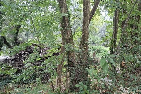 Helårsgrund i Amares, Braga, Amares - € 64.000 | Ref: 211502 - foto 10