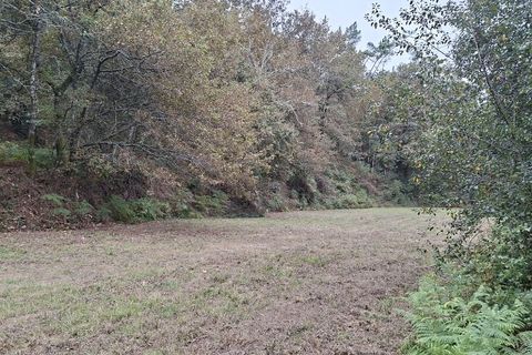 Helårsgrund i Amares, Braga, Amares - € 64.000 | Ref: 211502 - foto 17