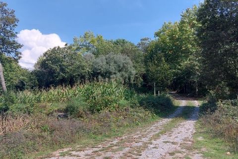 Helårsgrund i Amares, Braga, Amares - € 64.000 | Ref: 211502 - foto 2