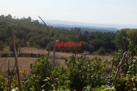 Farm i Viseu, Viseu, Viseu - € 129.500 | Ref: 189222331 - foto 2