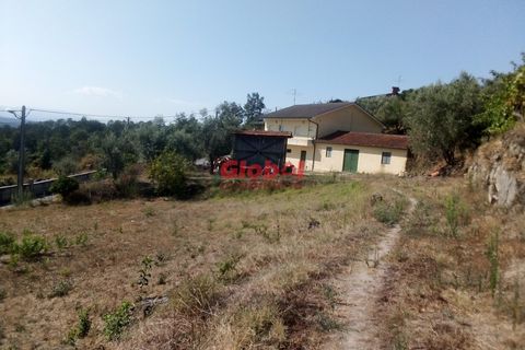 Farm i Viseu, Viseu, Viseu - € 129.500 | Ref: 189222331 - foto 6