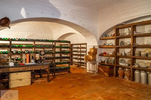 Farm i Sousel, Portalegre, Sousel - € 4.200.000 | Ref: Citage 89/22 - foto 45