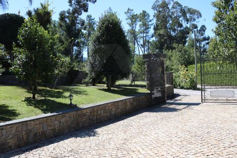 Villa i Ponte de Lima, Viana do Castelo, Ponte de Lima - € 750.000 | Ref: MDS3490 - foto 13