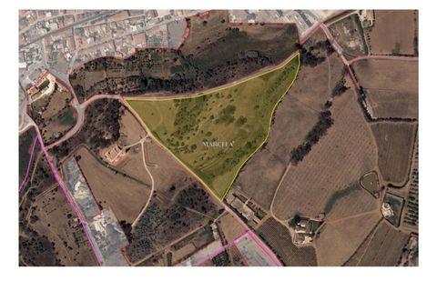 Helårsgrund i Lagos, Faro, Lagos - € 250.000 | Ref: RC250 - foto 7