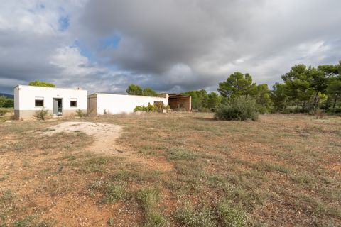 Finca i L'Ampolla, Tarragona, L'Ampolla - € 128.000 | Ref: 753 - foto 9