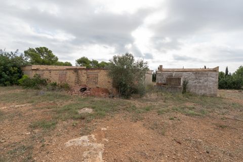 Finca i L'Ampolla, Tarragona, L'Ampolla - € 128.000 | Ref: 753 - foto 7