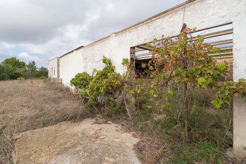 Finca i L'Ampolla, Tarragona, L'Ampolla - € 128.000 | Ref: 753 - foto 3