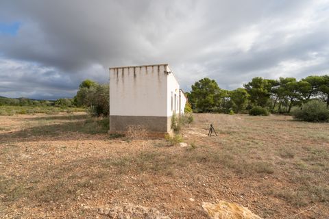 Finca i L'Ampolla, Tarragona, L'Ampolla - € 128.000 | Ref: 753 - foto 10