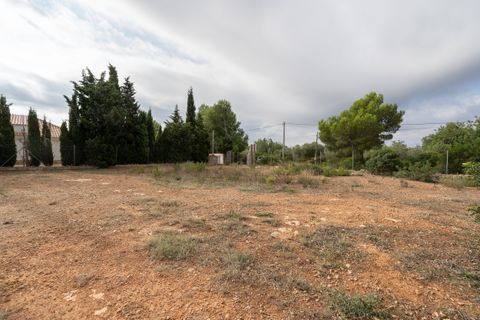 Finca i L'Ampolla, Tarragona, L'Ampolla - € 128.000 | Ref: 753 - foto 12