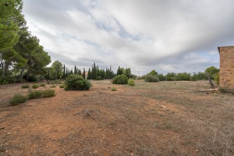 Finca i L'Ampolla, Tarragona, L'Ampolla - € 128.000 | Ref: 753 - foto 11