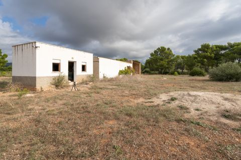 Finca i L'Ampolla, Tarragona, L'Ampolla - € 128.000 | Ref: 753 - foto 8