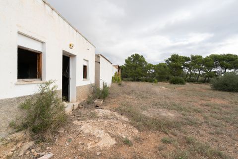 Finca i L'Ampolla, Tarragona, L'Ampolla - € 128.000 | Ref: 753 - foto 2