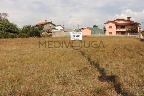 Helårsgrund i Agueda, Aveiro, Agueda - € 130.000 | Ref: IMO_122 - foto 2