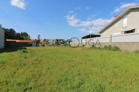 Helårsgrund i Agueda, Aveiro, Agueda - € 60.000 | Ref: IMO_97 - foto 2