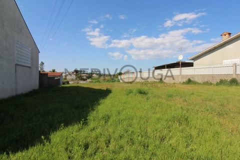 Helårsgrund i Agueda, Aveiro, Agueda - € 60.000 | Ref: IMO_97 - foto 4