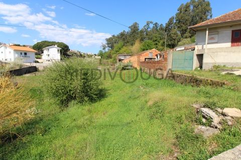 Helårsgrund i Agueda, Aveiro, Agueda - € 28.000 | Ref: IMO_95 - foto 3