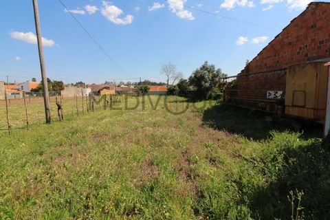 Helårsgrund i Agueda, Aveiro, Agueda - € 40.000 | Ref: IMO_96 - foto 2