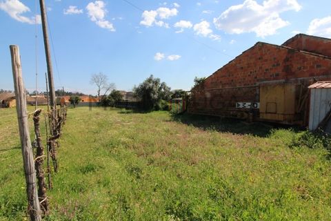 Helårsgrund i Agueda, Aveiro, Agueda - € 40.000 | Ref: IMO_96 - foto 3