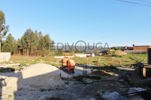 Helårsgrund i Agueda, Aveiro, Agueda - € 44.000 | Ref: IMO_144 - foto 2