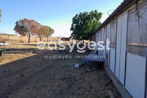 Helårsgrund i Beringel, Beja, Beringel - € 88.000 | Ref: BJ89979 - foto 1