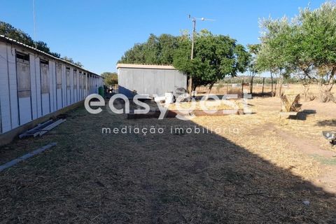 Helårsgrund i Beringel, Beja, Beringel - € 88.000 | Ref: BJ89979 - foto 2