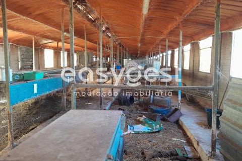 Helårsgrund i Beringel, Beja, Beringel - € 88.000 | Ref: BJ89979 - foto 4