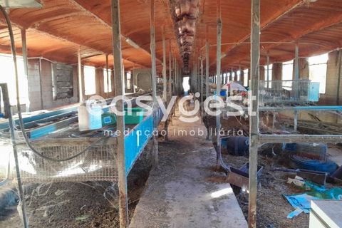 Helårsgrund i Beringel, Beja, Beringel - € 88.000 | Ref: BJ89979 - foto 5