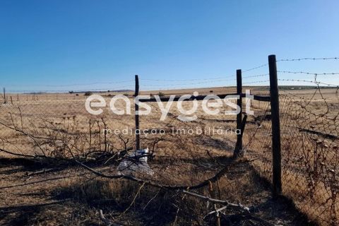 Helårsgrund i Beringel, Beja, Beringel - € 88.000 | Ref: BJ89979 - foto 9
