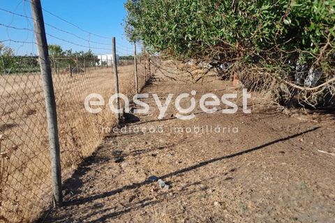 Helårsgrund i Beringel, Beja, Beringel - € 88.000 | Ref: BJ89979 - foto 10