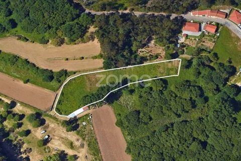 Helårsgrund i Sandim, Porto, Sandim - € 65.000 | Ref: ZMPT552708 - foto 4