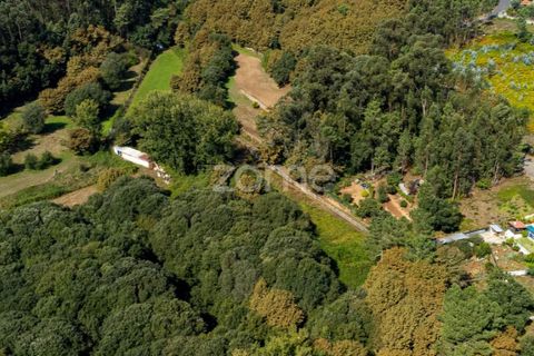 Helårsgrund i Sandim, Porto, Sandim - € 65.000 | Ref: ZMPT552708 - foto 9