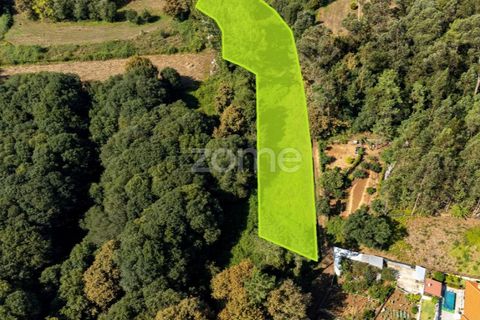 Helårsgrund i Sandim, Porto, Sandim - € 65.000 | Ref: ZMPT552708 - foto 11
