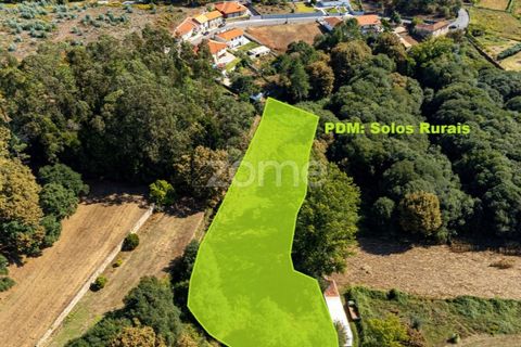 Helårsgrund i Sandim, Porto, Sandim - € 65.000 | Ref: ZMPT552708 - foto 12