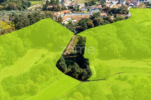 Helårsgrund i Sandim, Porto, Sandim - € 65.000 | Ref: ZMPT552708 - foto 13