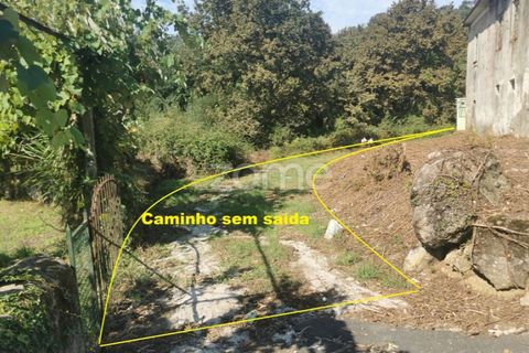 Helårsgrund i Sandim, Porto, Sandim - € 65.000 | Ref: ZMPT552708 - foto 14