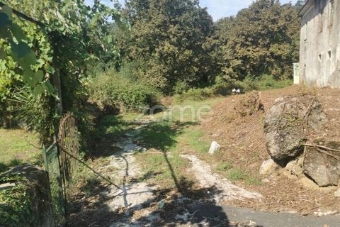 Helårsgrund i Sandim, Porto, Sandim - € 65.000 | Ref: ZMPT552708 - foto 15