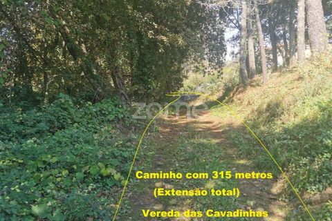 Helårsgrund i Sandim, Porto, Sandim - € 65.000 | Ref: ZMPT552708 - foto 16