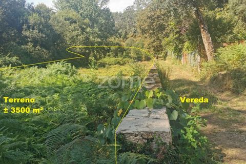 Helårsgrund i Sandim, Porto, Sandim - € 65.000 | Ref: ZMPT552708 - foto 20