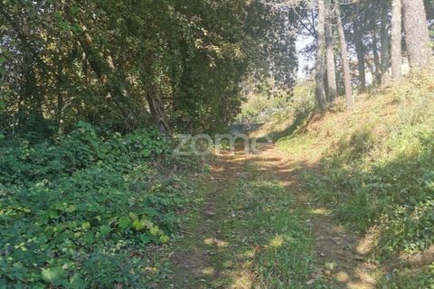 Helårsgrund i Sandim, Porto, Sandim - € 65.000 | Ref: ZMPT552708 - foto 17