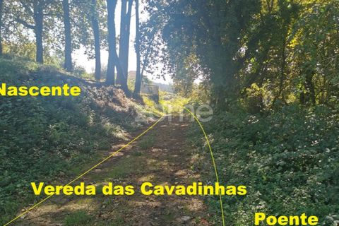 Helårsgrund i Sandim, Porto, Sandim - € 65.000 | Ref: ZMPT552708 - foto 19