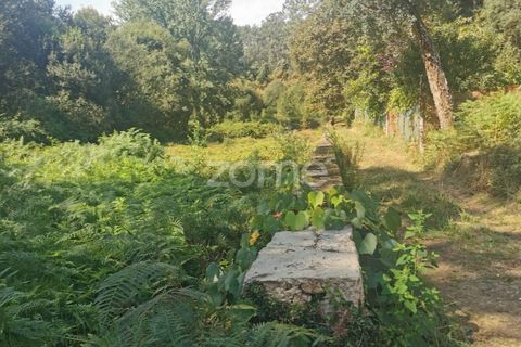 Helårsgrund i Sandim, Porto, Sandim - € 65.000 | Ref: ZMPT552708 - foto 21