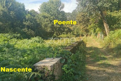 Helårsgrund i Sandim, Porto, Sandim - € 65.000 | Ref: ZMPT552708 - foto 23