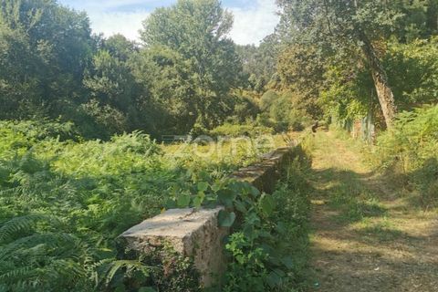 Helårsgrund i Sandim, Porto, Sandim - € 65.000 | Ref: ZMPT552708 - foto 24