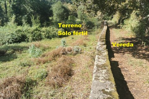 Helårsgrund i Sandim, Porto, Sandim - € 65.000 | Ref: ZMPT552708 - foto 25
