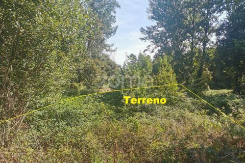 Helårsgrund i Sandim, Porto, Sandim - € 65.000 | Ref: ZMPT552708 - foto 27