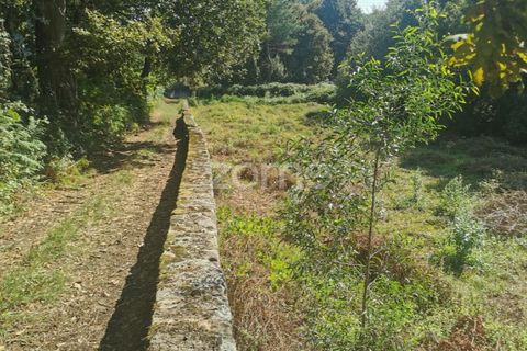 Helårsgrund i Sandim, Porto, Sandim - € 65.000 | Ref: ZMPT552708 - foto 29