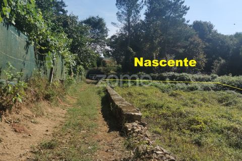 Helårsgrund i Sandim, Porto, Sandim - € 65.000 | Ref: ZMPT552708 - foto 30