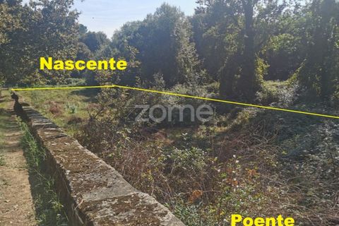 Helårsgrund i Sandim, Porto, Sandim - € 65.000 | Ref: ZMPT552708 - foto 31