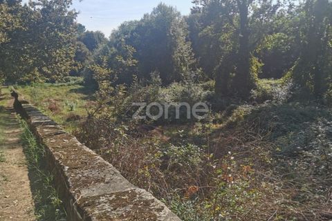 Helårsgrund i Sandim, Porto, Sandim - € 65.000 | Ref: ZMPT552708 - foto 32